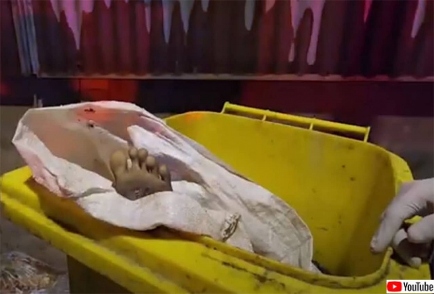 お騒がせ投棄物。それをゴミ箱に捨てたらあかんてあれほど...