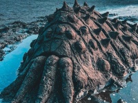 江の島が腐海に沈んだ？　海岸で激写された〝王蟲〟に驚嘆の声「この子を群れに帰さなきゃ」