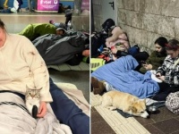 「ペットを置いては行けない！」ウクライナにて、愛するペットたちと一緒に国境を越える避難民たち