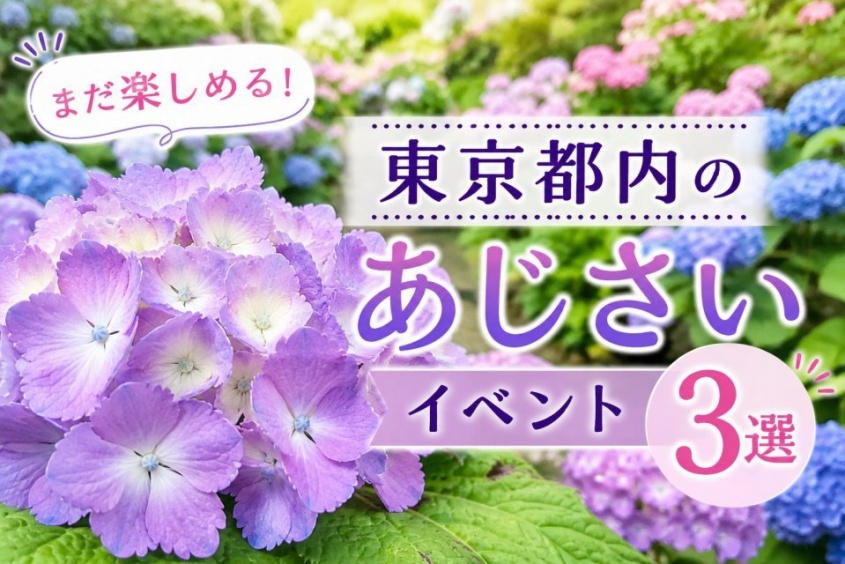「今年は見逃した...」にはまだ早い！　6月後半も楽しめる東京都内のあじさいイベント3選