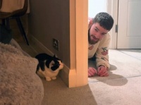 こんな動画だけ見ていたい。ヒゲメンと猫のふたりの世界はいないいないばあでキャッキャウフフ