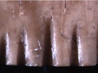 人骨で作られた2700年前のタトゥー用道具が発見される（トンガ）