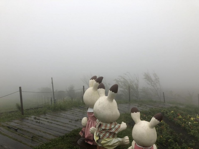 「ご覧の通りです」（写真はビニールタッキーさん提供）