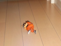 ヤムチャさん……