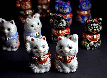 minineko_cat