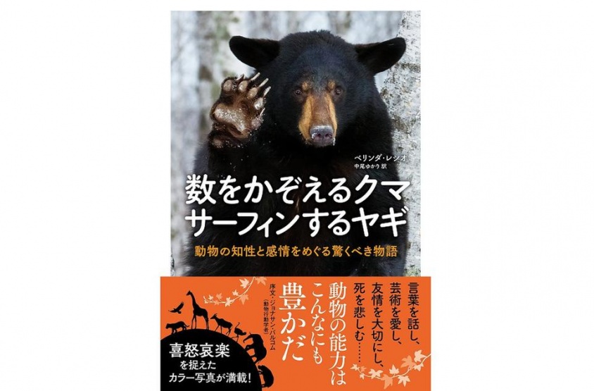 『数をかぞえるクマ サーフィンをするヤギ　動物の知性と感情をめぐる驚くべき物語』（NHK出版刊）