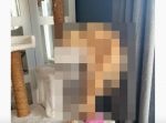 どんな寝相…？笑　とんでもない姿勢で眠る猫ちゃん発見。