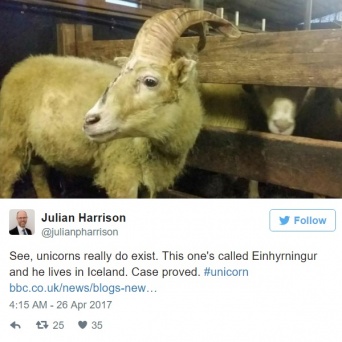 ユニコーンのような角を持つ羊がアイスランドで発見される！