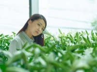 植物が「歌う」時代に？　植物が音楽を奏でる「Singing Nature」
