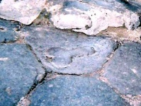 イタリアの古代都市遺跡「ポンペイ」の壁や通りのあちこちに石造りの息子スティックが。いったいなぜ？
