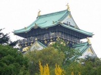 あの戦国武将って20歳前後のころ何してたの？