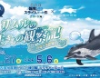 転スラ映画『蒼海の涙編』×四国水族館がコラボ中　キャラクターの特徴と水生生物の生態を重ね合わせる！？【2／27～5／6】