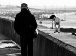 大阪で犬好きを全面に出しまくっているおじさんに遭遇した！！