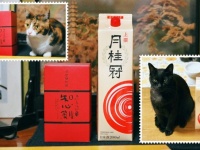 猫たちの〝謎ルール〟に2.1万人がキョトン　カメラを向けると、何故か「ある場所」へ移動して...