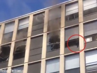 アパートで火事！5階に取り残された猫が見事なジャンプで飛び降り、無事着地成功