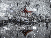白と黒の世界に色を与えるのは、赤い東屋　雪の夜の中国風庭園があまりにも幻想的