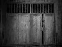 大学教授と生き返った遺体の世にも奇妙な物語