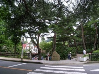 六甲山牧場の入口（Masahiko OHKUBOさん撮影、flickrより）