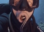 魚が口の中をお掃除？　水深３０メートルでクリーナーフィッシュに出会った