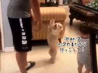 今度はボクの番！子供の次に「たかいたかい」をしてもらおうとおねだりする犬