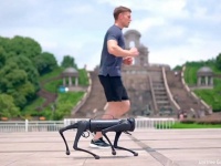 AIロボットペットが犬や猫に取って代わる可能性もあるが、長期的影響は未知数と専門家が警告
