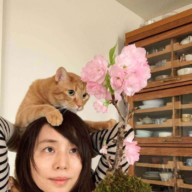 石田ゆり子 愛猫と苔玉で自宅お花見に大反響 花は枯れるから美しい 1ページ目 デイリーニュースオンライン