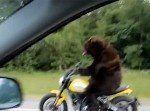 【おそロシア】バイクを運転している毛むくじゃらの正体とは！？