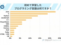 初めて学んだ言語1位は「Java」、プログラミング学習で言語を選ぶ決め手は？