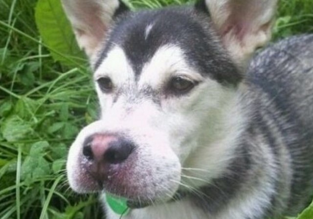 スクリーンショット 2016-04-24 19.59.21