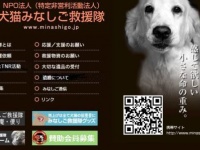 画像は「犬猫みなしご救援隊」のホームページより