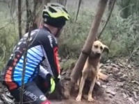なんでこんなひどいことを！木に首をくくりつけられたまま放置されていた犬が発見された
