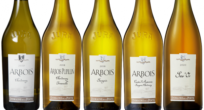 株式会社モトックスのプレスリリース画像