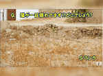 【観察力クイズ】この画像に隠された猫。　あなたには見つけられるかな？