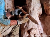 イスラエルの洞窟で1900年前の古代ローマ兵の剣が4本発見される
