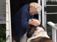 長年一人暮らしだったおばあさんの家の隣に越してきた大きな犬と小さな犬。そこから始まる友情物語（アメリカ）