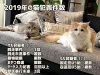 2019年、カラパイアで最も読まれた人気記事トップ10