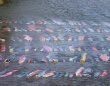 「友禅流し」の地・金沢では鯉のぼりも川に流すらしい　きっかけは「大人の事情」だったけど...