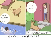 犬と猫って火星と金星くらい違うけど、だがそれがいい。犬と猫の違いを描いた海外の10のマンガ