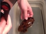 不気味な茶色い袋。中身はなんと・・・アレだった！