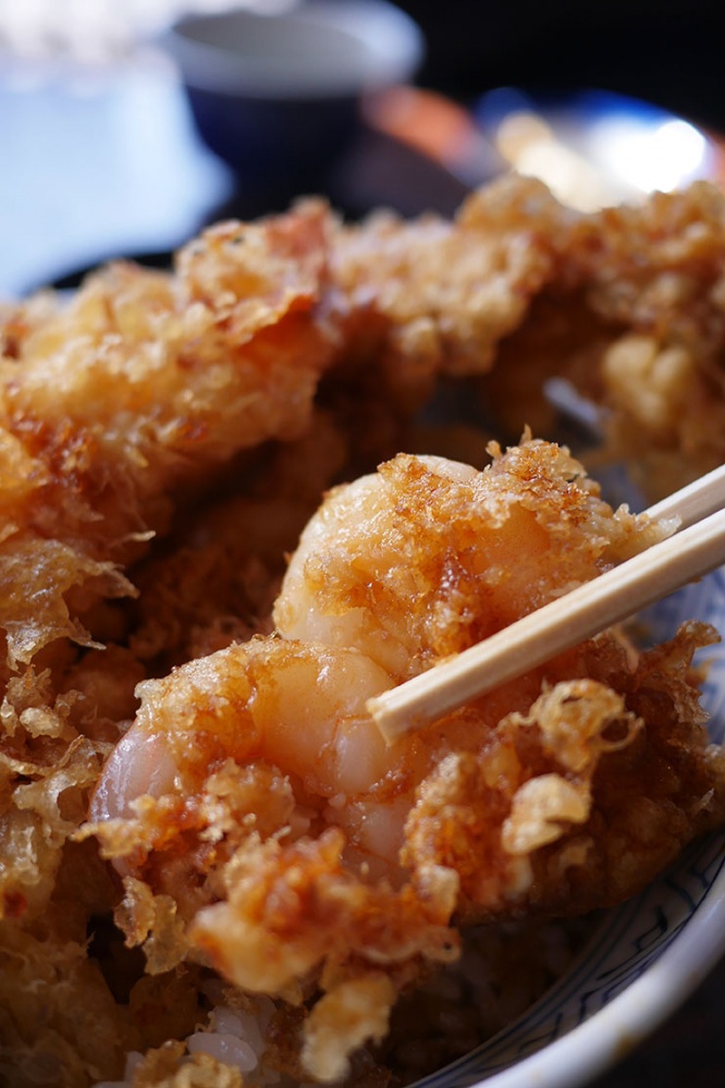 tendon1