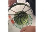 １２個にカットできる器具でスイカを切ってみると…！？