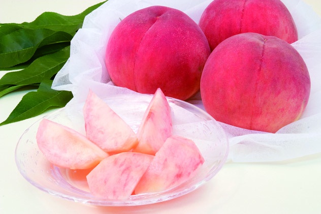 福島県のプレスリリース画像