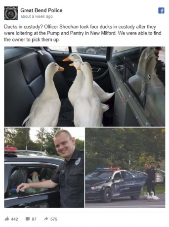 米ペンシルベニア州でアヒルが「逮捕」される!?