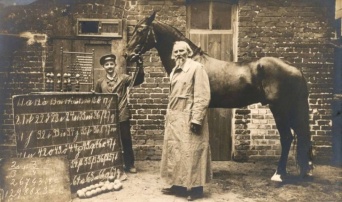 ドイツには人の言葉が分かり計算ができる馬がいた？賢馬「ハンス」の物語とその能力の検証結果