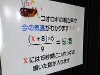 本当に！？（画像はKosuke Sawa＠kosukesaさん