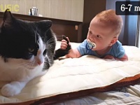 なんか知らんけど新入りが来た…？生まれたての赤ちゃんにドキドキの猫