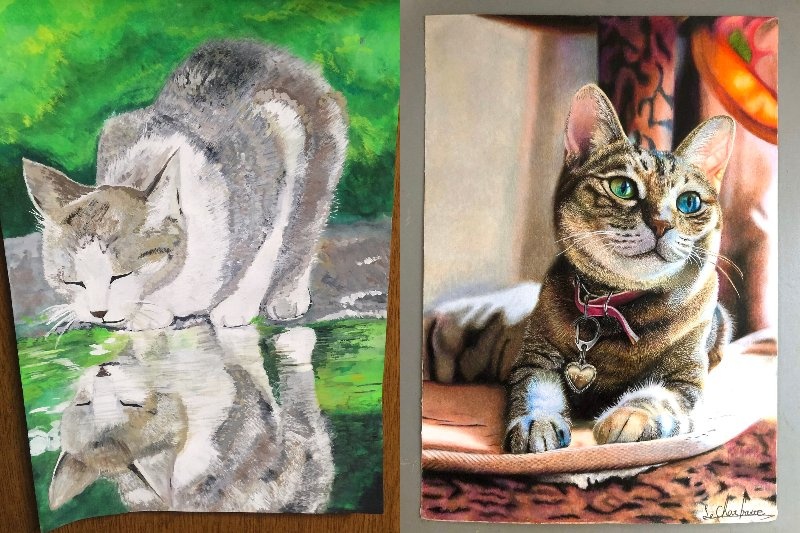 長靴をはいた猫（＠erumo_0384）さんのツイートより