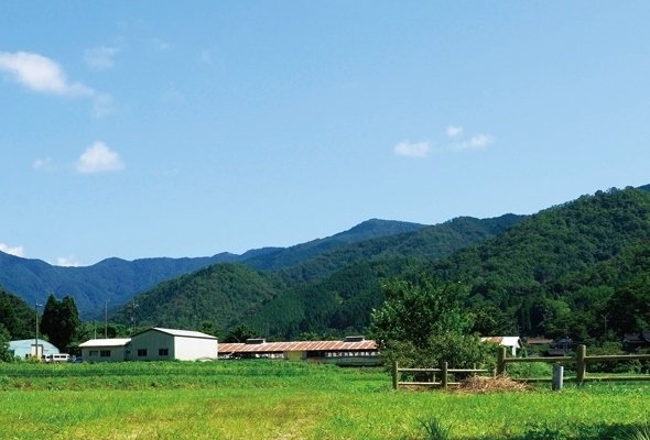 中国山地の裾野にある牧場（「大江ノ郷自然牧場」公式ウエブサイトより）