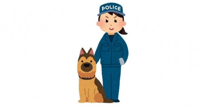 画像はイメージ