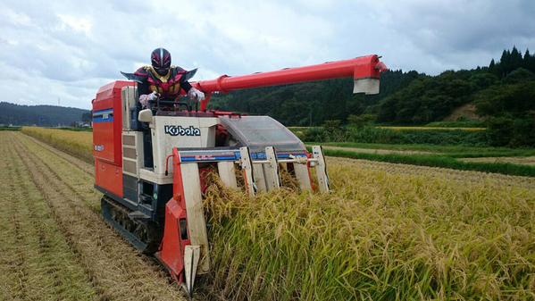 超神ネイガーの稲刈り